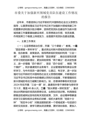 市委关于加强新兴领域党员队伍建设工作情况的报告