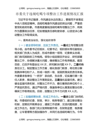 市委关于违规吃喝专项整治工作进展情况汇报