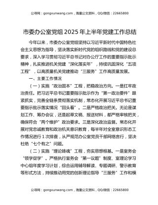 市委办公室党组2025年上半年党建工作总结