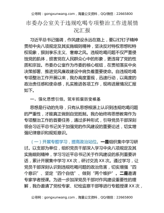 市委办公室关于违规吃喝专项整治工作进展情况汇报