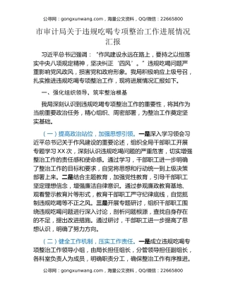 市审计局关于违规吃喝专项整治工作进展情况汇报