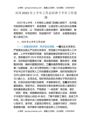 市局2025年上半年工作总结和下半年工作思路