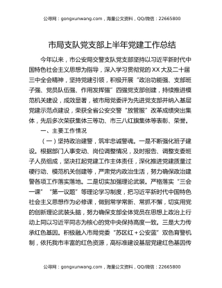 市局支队党支部上半年党建工作总结