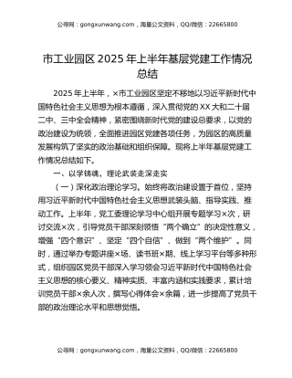 市工业园区2025年上半年基层党建工作情况总结