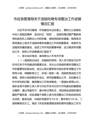 市应急管理局关于违规吃喝专项整治工作进展情况汇报