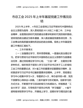 市总工会2025年上半年基层党建工作情况总结