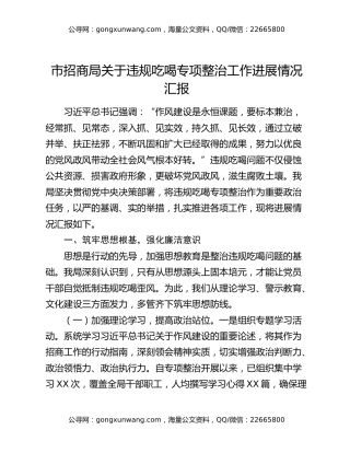 市招商局关于违规吃喝专项整治工作进展情况汇报