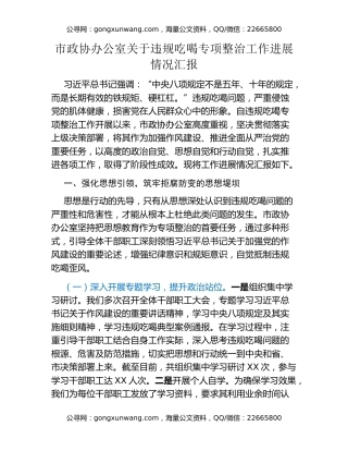 市政协办公室关于违规吃喝专项整治工作进展情况汇报