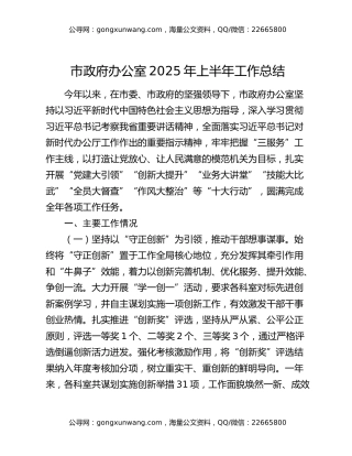 市政府办公室2025年上半年工作总结