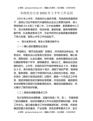 市政府办公室2025年上半年工作总结 (2)