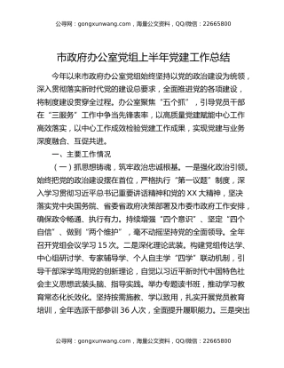市政府办公室党组上半年党建工作总结