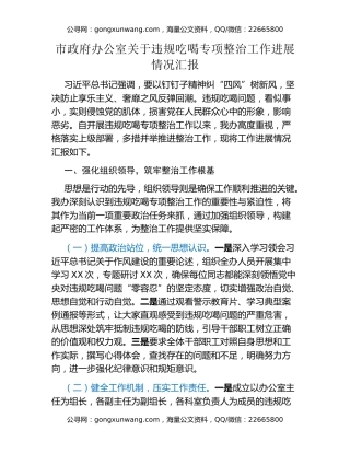 市政府办公室关于违规吃喝专项整治工作进展情况汇报