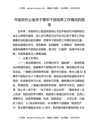 市政府办公室关于青年干部培养工作情况的报告
