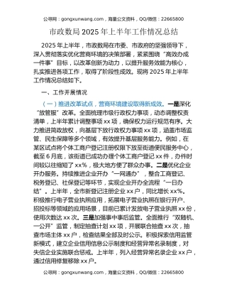 市政数局2025年上半年工作情况总结