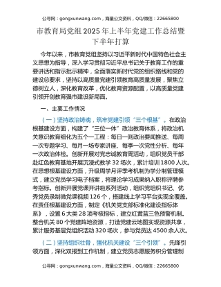市教育局党组2025年上半年党建工作总结暨下半年打算