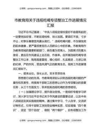 市教育局关于违规吃喝专项整治工作进展情况汇报