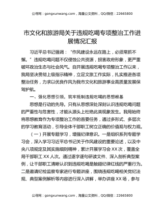 市文化和旅游局关于违规吃喝专项整治工作进展情况汇报