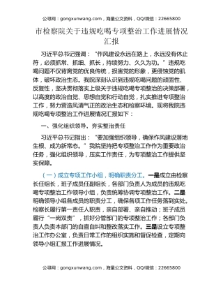 市检察院关于违规吃喝专项整治工作进展情况汇报