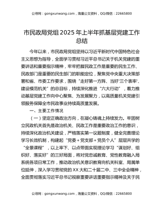 市民政局党组2025年上半年抓基层党建工作总结