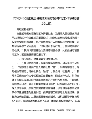市水利和湖泊局违规吃喝专项整治工作进展情况汇报