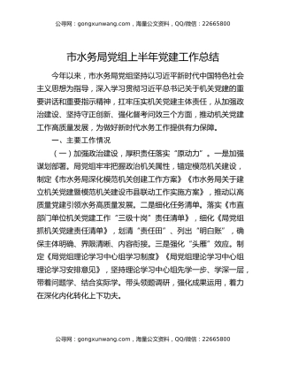市水务局党组上半年党建工作总结