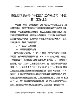 市生态环境分局“十四五”工作总结和“十五五”工作计划