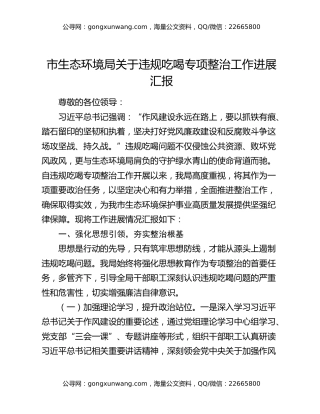 市生态环境局关于违规吃喝专项整治工作进展汇报