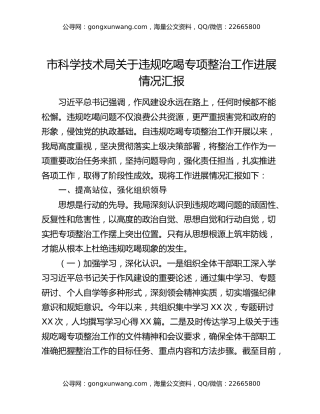 市科学技术局关于违规吃喝专项整治工作进展情况汇报