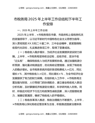 市税务局2025年上半年工作总结和下半年工作安排