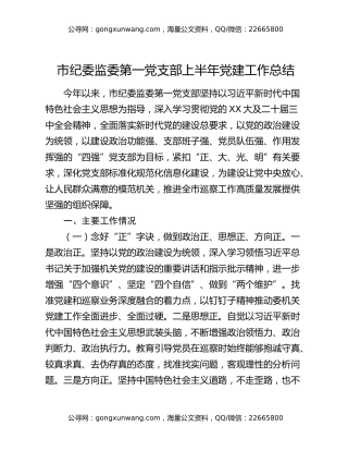 市纪委监委第一党支部上半年党建工作总结