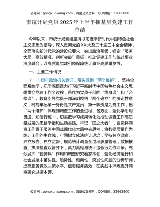 市统计局党组2025年上半年抓基层党建工作总结
