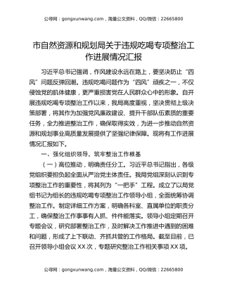 市自然资源和规划局关于违规吃喝专项整治工作进展情况汇报