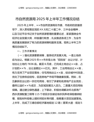 市自然资源局2025年上半年工作情况总结