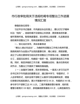 市行政审批局关于违规吃喝专项整治工作进展情况汇报