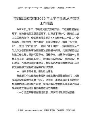 市财政局党支部2025年上半年全面从严治党工作报告