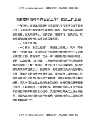 市财政局预算科党支部上半年党建工作总结