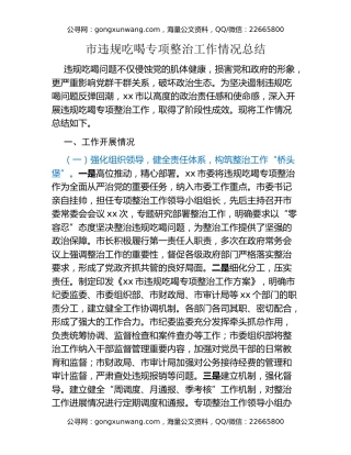 市违规吃喝专项整治工作情况总结