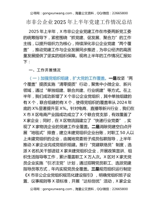市非公企业2025年上半年党建工作情况总结