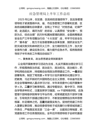 应急管理局上半年工作总结