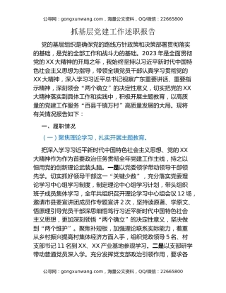 抓基层党建工作述职报告