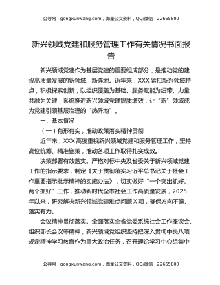 新兴领域党建和服务管理工作有关情况书面报告
