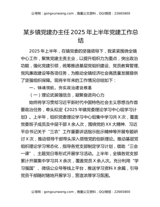 某乡镇党建办主任：2025年上半年党建工作总结