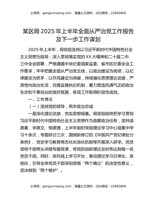 某区局2025年上半年全面从严治党工作报告及下一步工作谋划