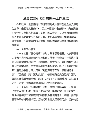 某县党建引领乡村振兴工作总结