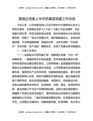 某国企党委上半年抓基层党建工作总结