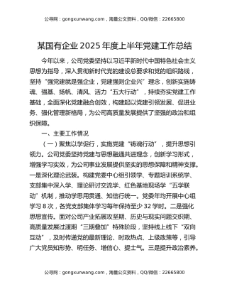 某国有企业2025年度上半年党建工作总结