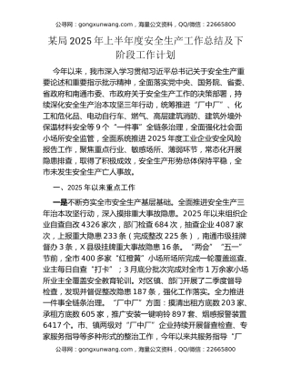 某局2025年上半年度安全生产工作总结及下阶段工作计划