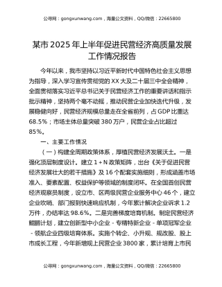某市2025年上半年促进民营经济高质量发展工作情况报告