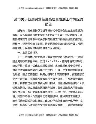 某市关于促进民营经济高质量发展工作情况的报告