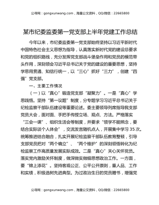 某市纪委监委第一党支部上半年党建工作总结